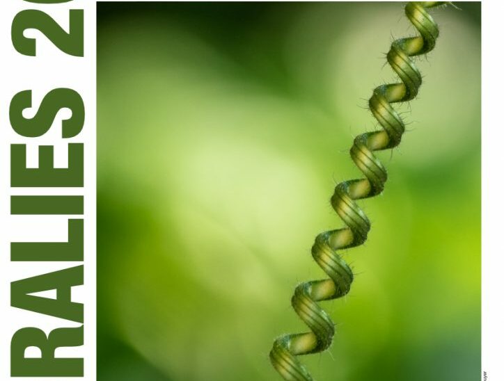 Affiche Concours "Floralies 2024 - Graphisme végétal à Antibes – Juan les Pins"