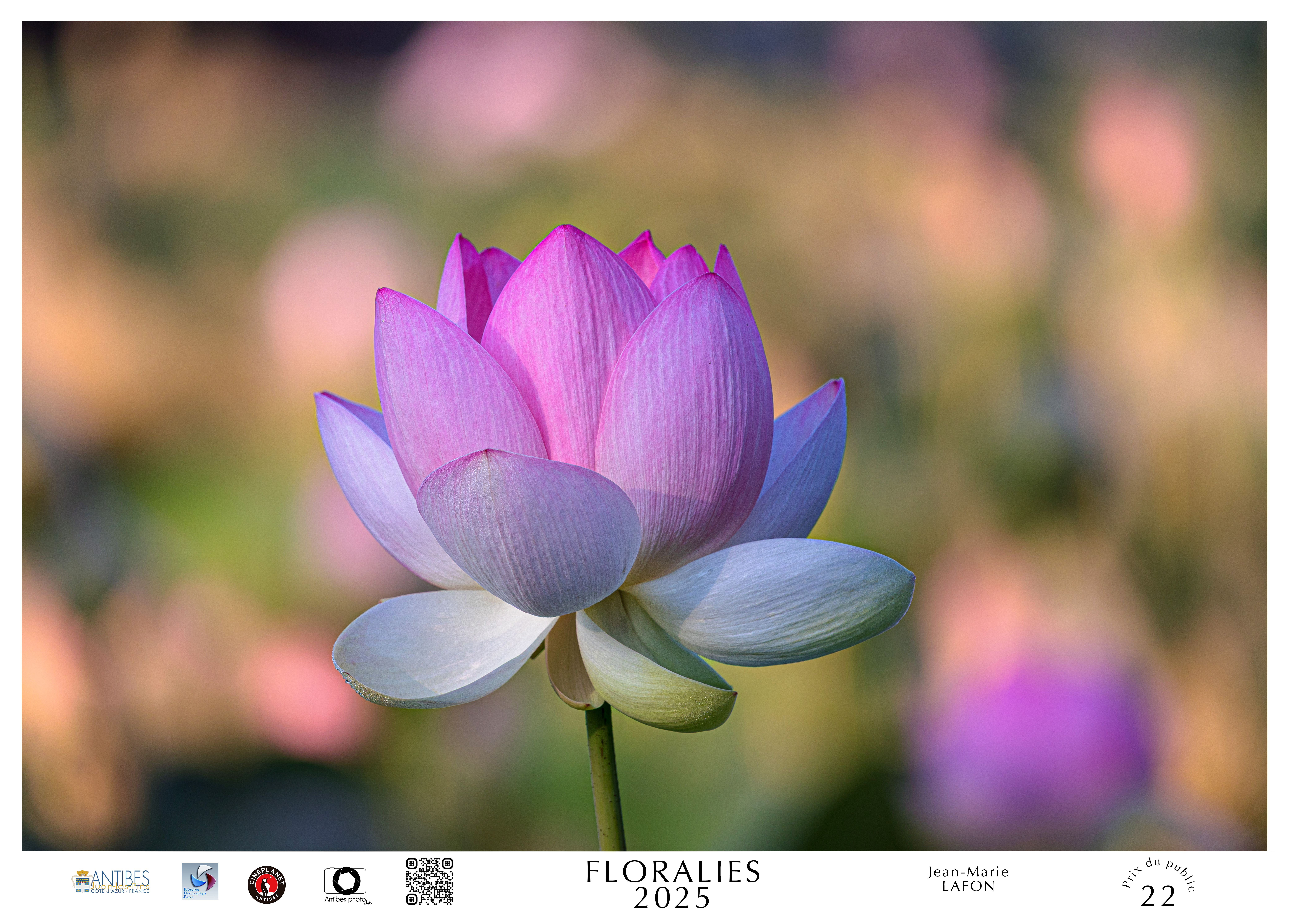 Photo de Jean-Marie LAFON pour le concours Floralies 2025 d'Antibes